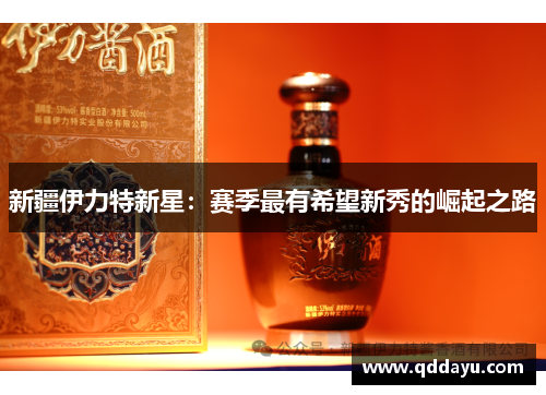 新疆伊力特新星：赛季最有希望新秀的崛起之路