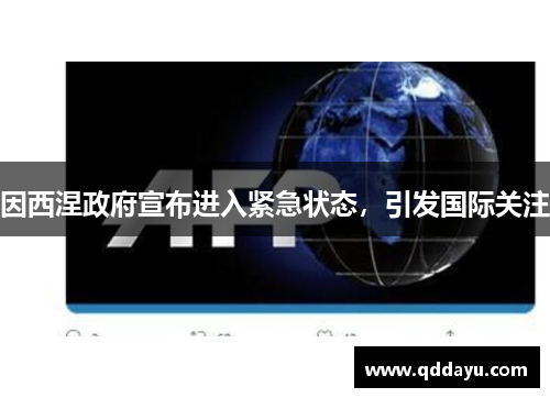 因西涅政府宣布进入紧急状态，引发国际关注