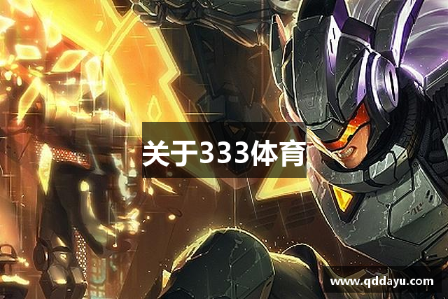 关于333体育
